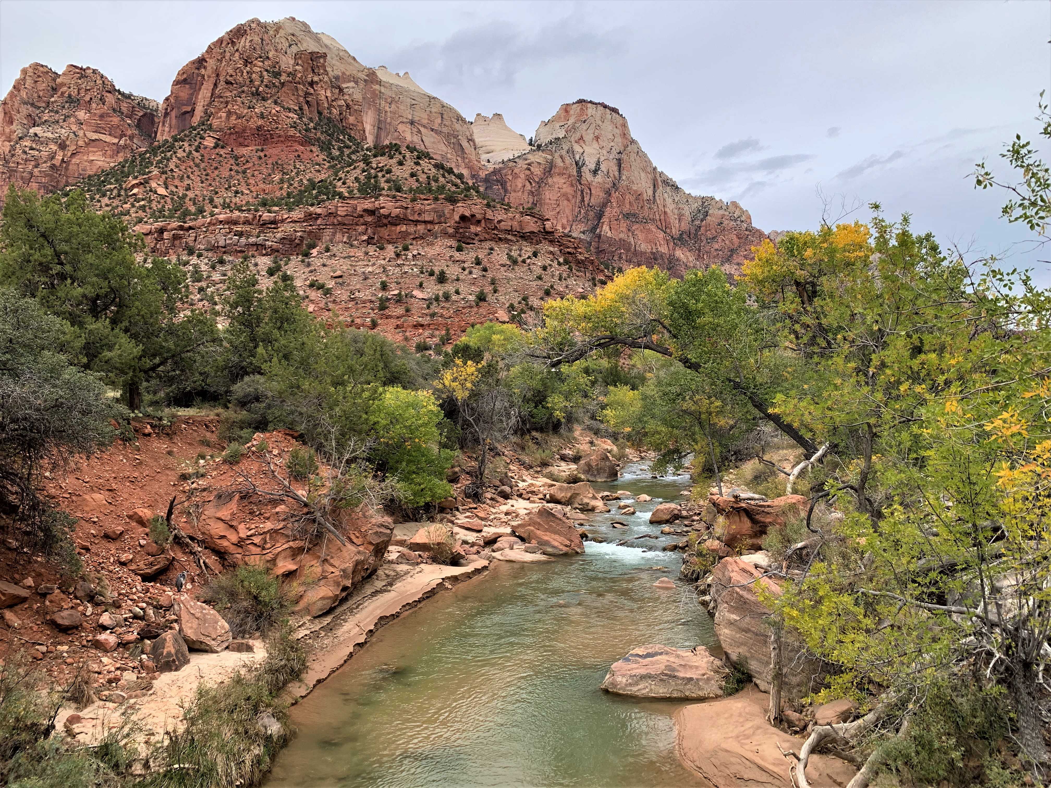 Zion NP